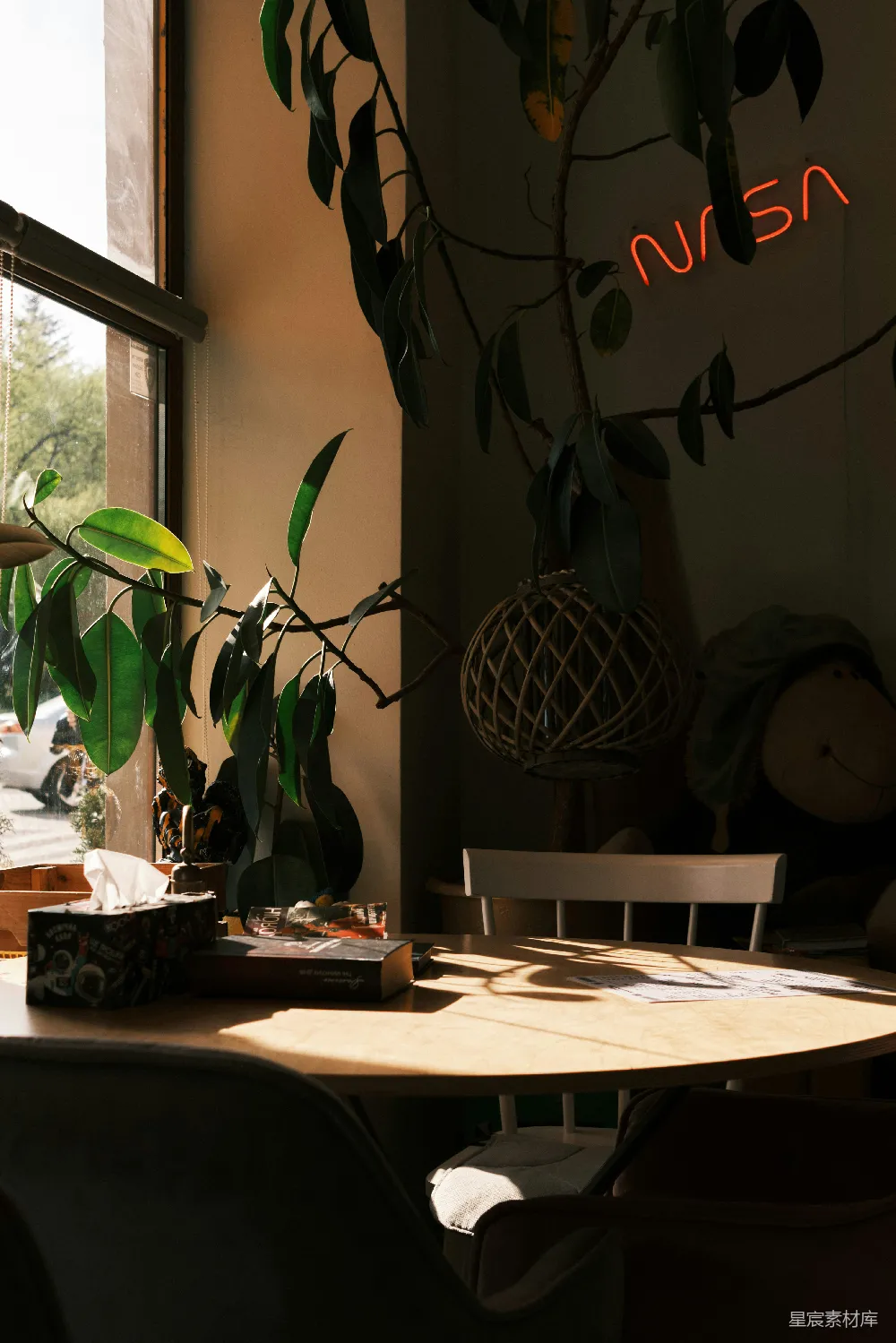 高清摄影  一张木桌，上面放着一盆盆栽，旁边有一扇窗户。