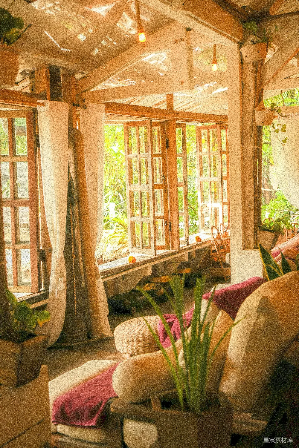 高清摄影  一个温馨、质朴的房间，充满了自然光线和植物。