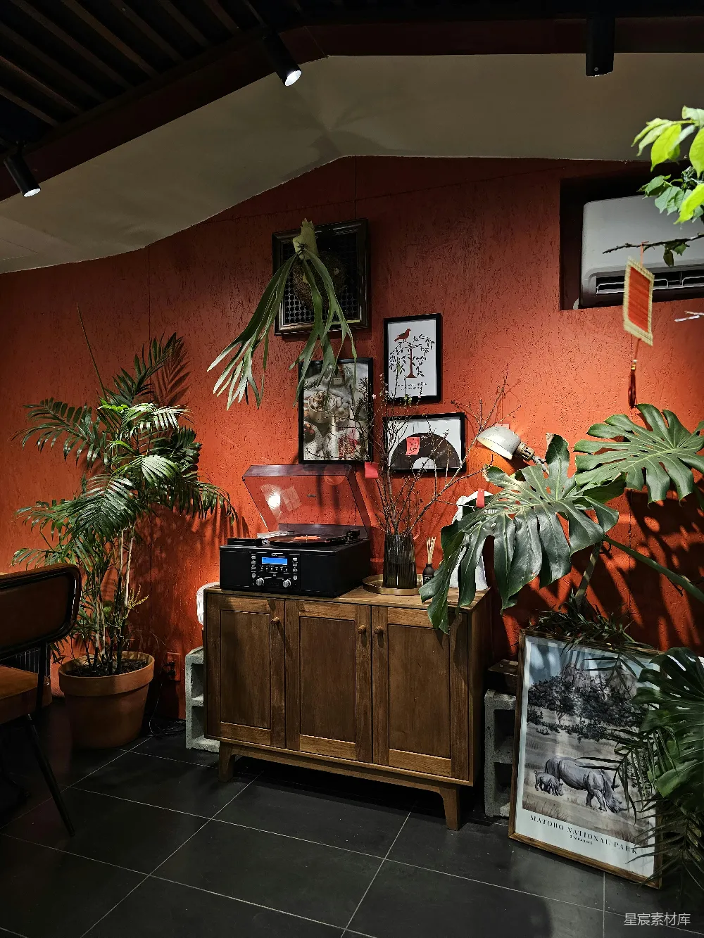 高清摄影  一个房间里有一台留声机、植物和墙上的画。