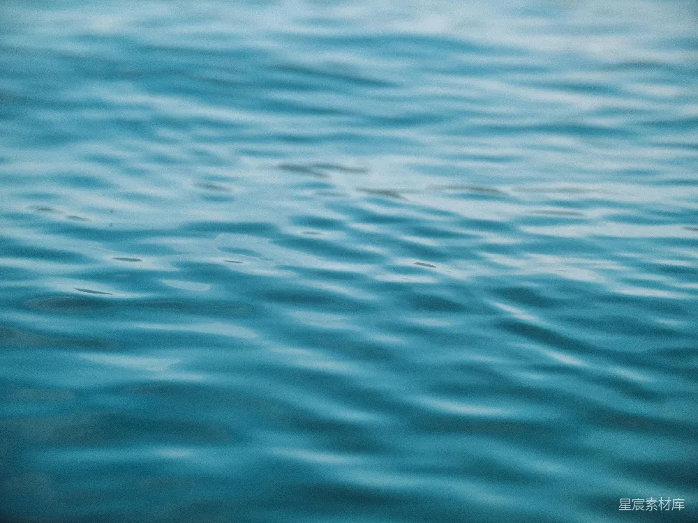 高清摄影  水体的浅景照片