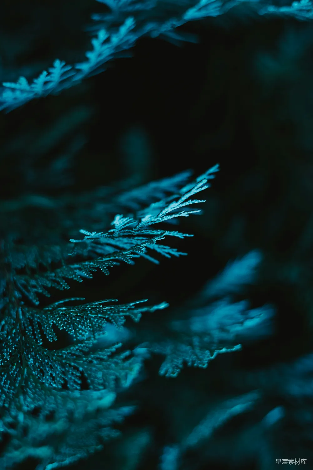高清摄影 自然 一张黑白岩石的特写照