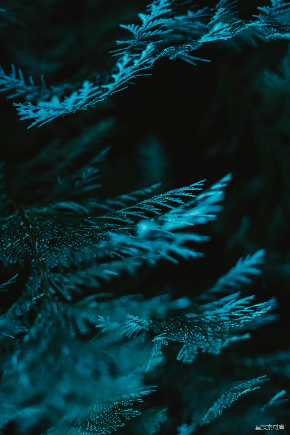 高清摄影 壁纸 自然 一张黑白波浪的特写照片