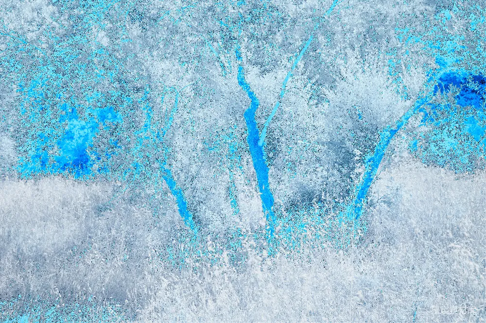 高清摄影 实验性 一幅蓝底上的蓝白花朵画作