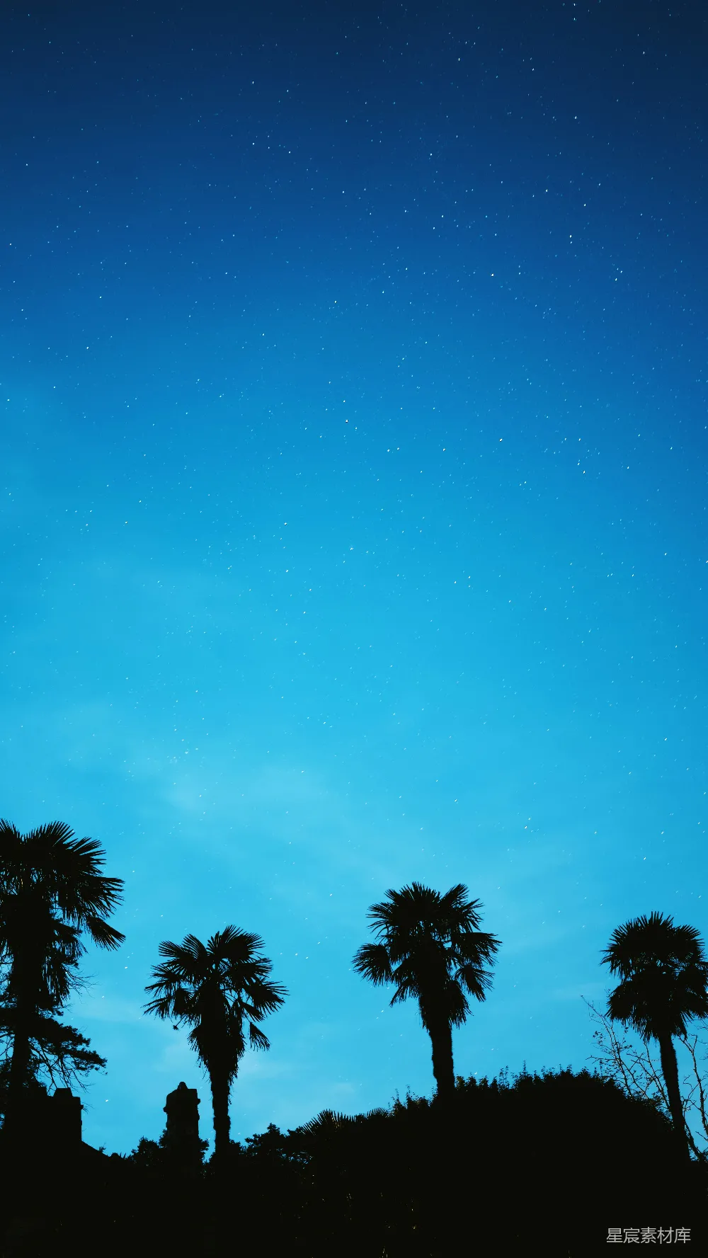 高清摄影  蓝天下的绿色棕榈树