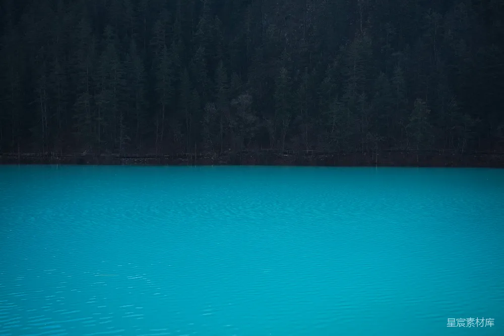 高清摄影  鲜艳的蓝绿色海水映衬着深色森林背景