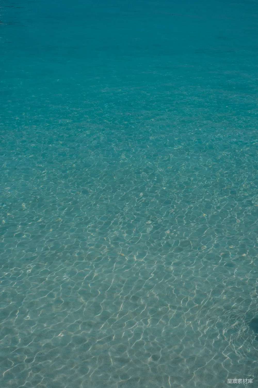 高清摄影  一个男人站在浅水中，手里拿着冲浪板。