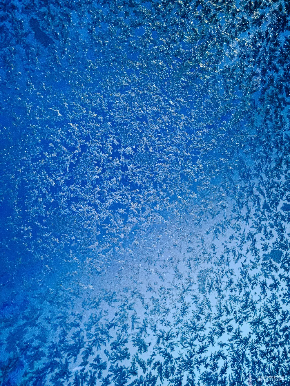 高清摄影  蓝背景上特写的霜花图案