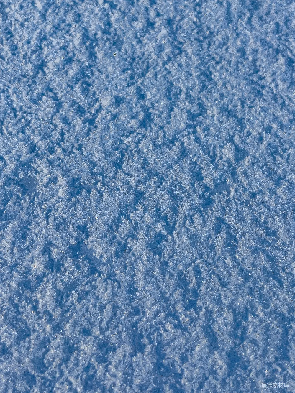 高清摄影  蓝色雪花的特写