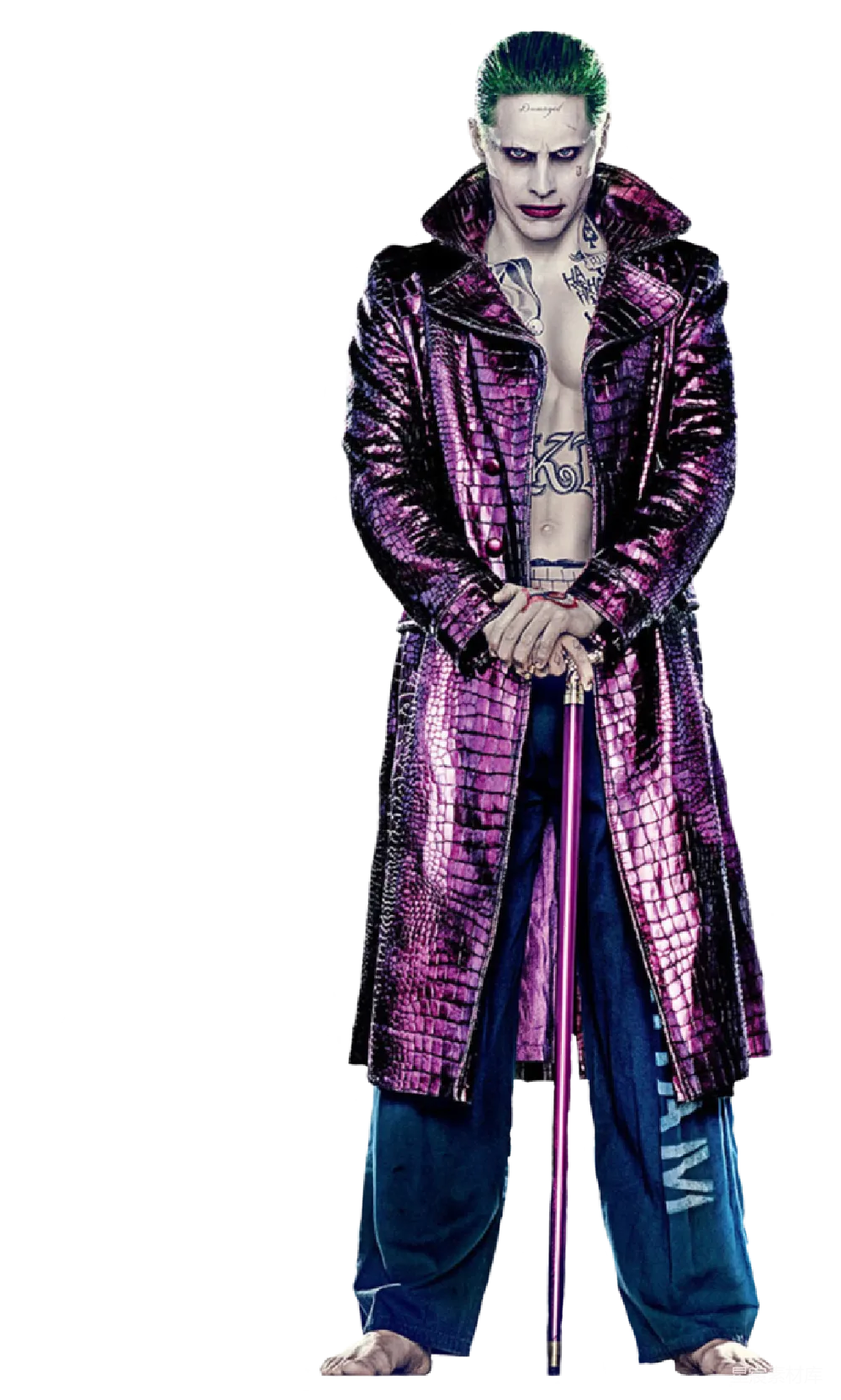 元素素材 元素 约克