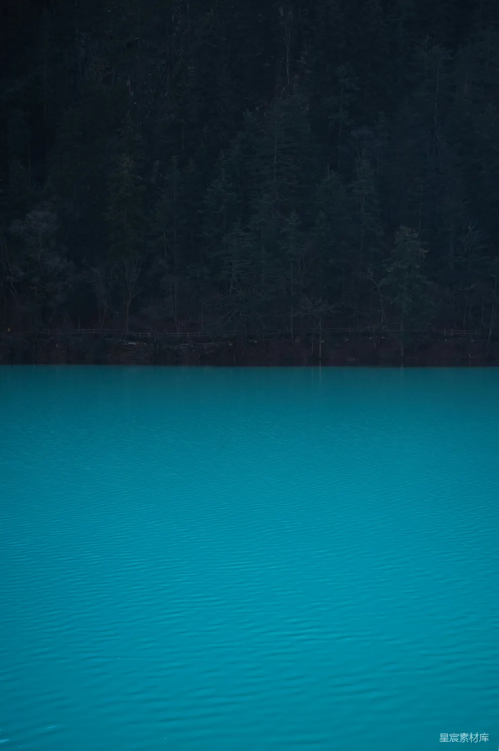 高清摄影  碧蓝的水面映衬着深色的森林背景