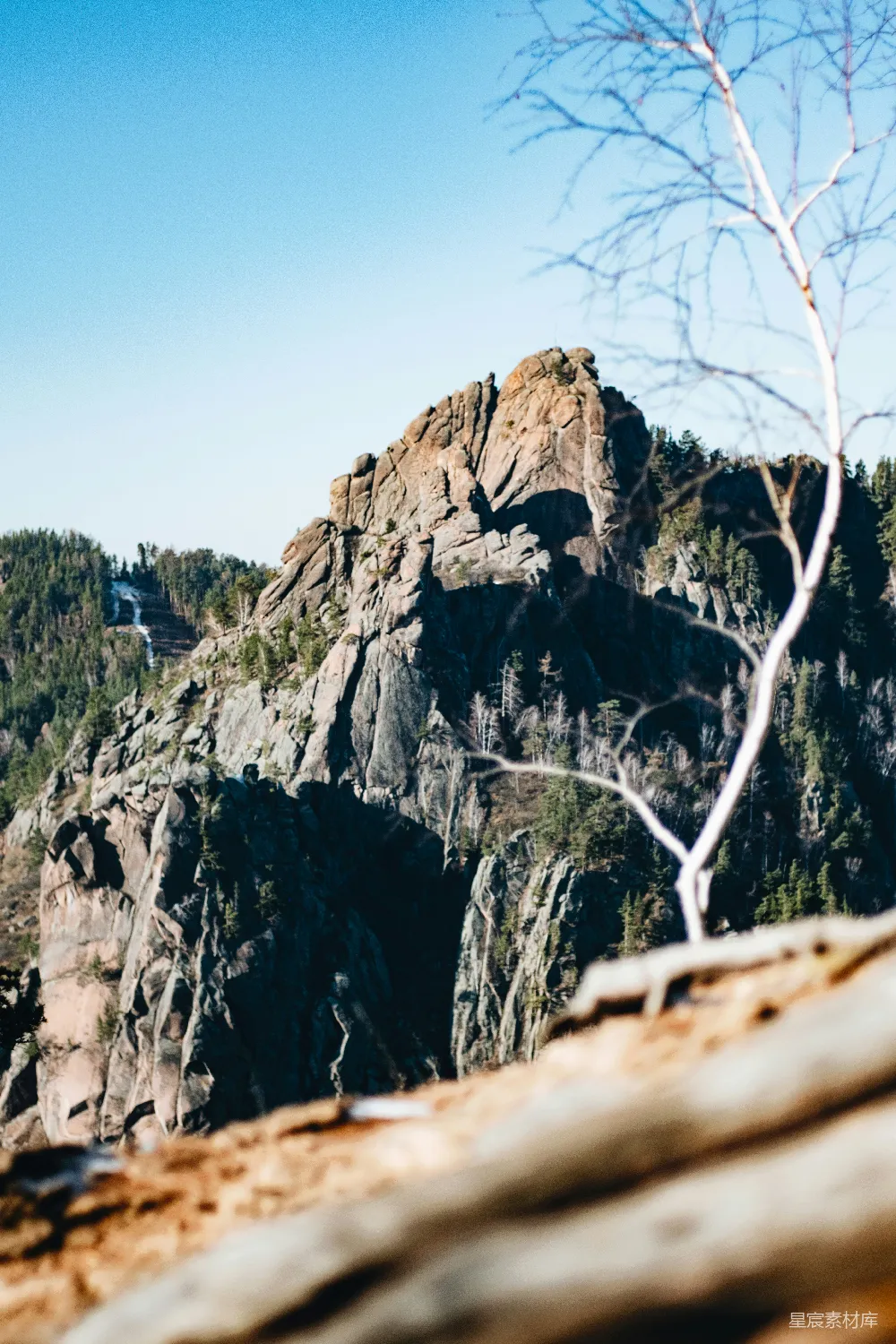 高清摄影 自然 一座山的景象，前景中有一棵树