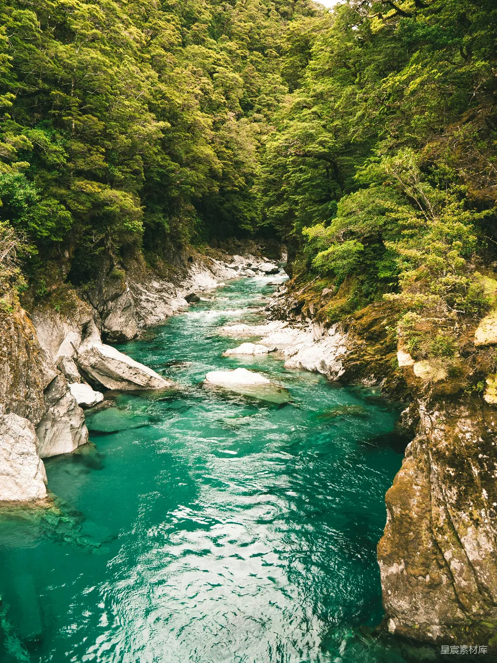高清摄影  岩石和绿叶植物之间的湖泊风景照