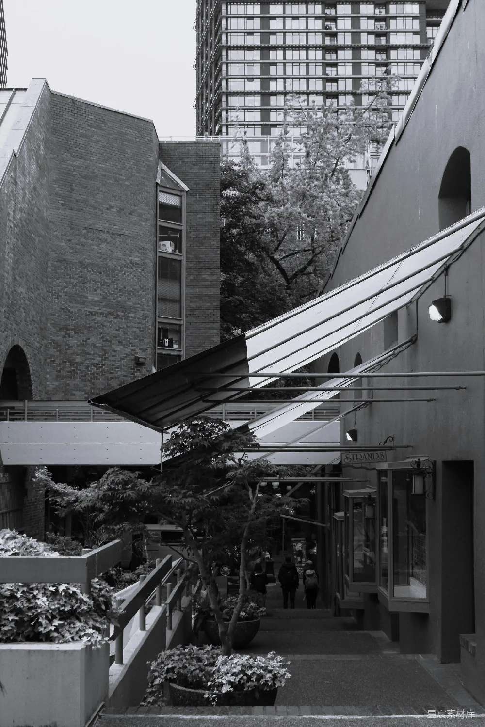 高清摄影  一张黑白照片，展示了一条城市的街道。