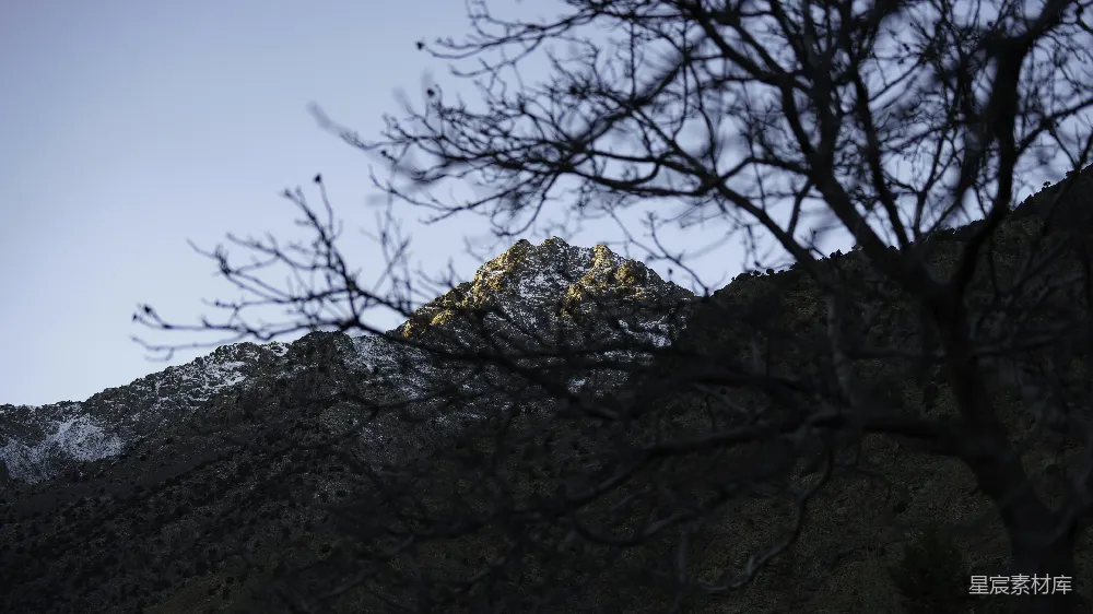 高清摄影  一座山的远景，前景中有一棵树。
