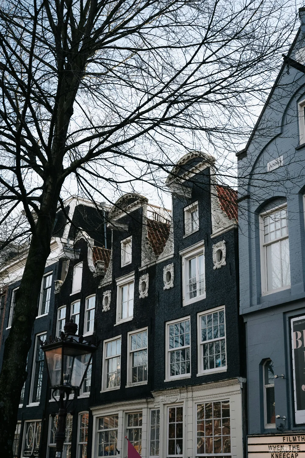 高清摄影  历史悠久的运河房屋沿街排列，旁边有一棵树。