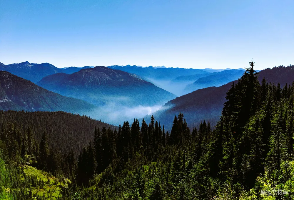 高清摄影  一条山脉的风景，前景中有一排树木。