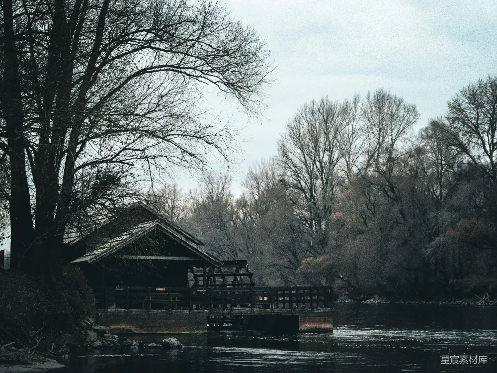 高清摄影  一座木桥横跨河流，旁边有一片森林。