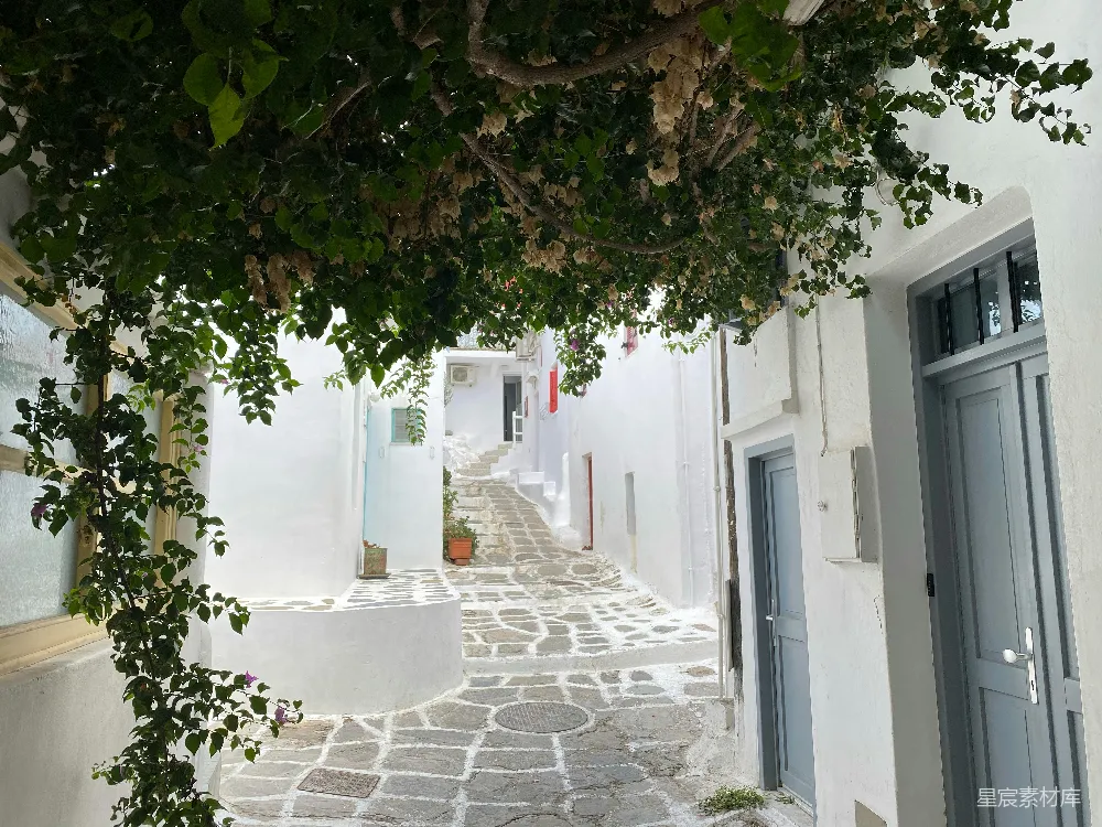 高清摄影  一条风景如画的白色小巷被绿植环绕。