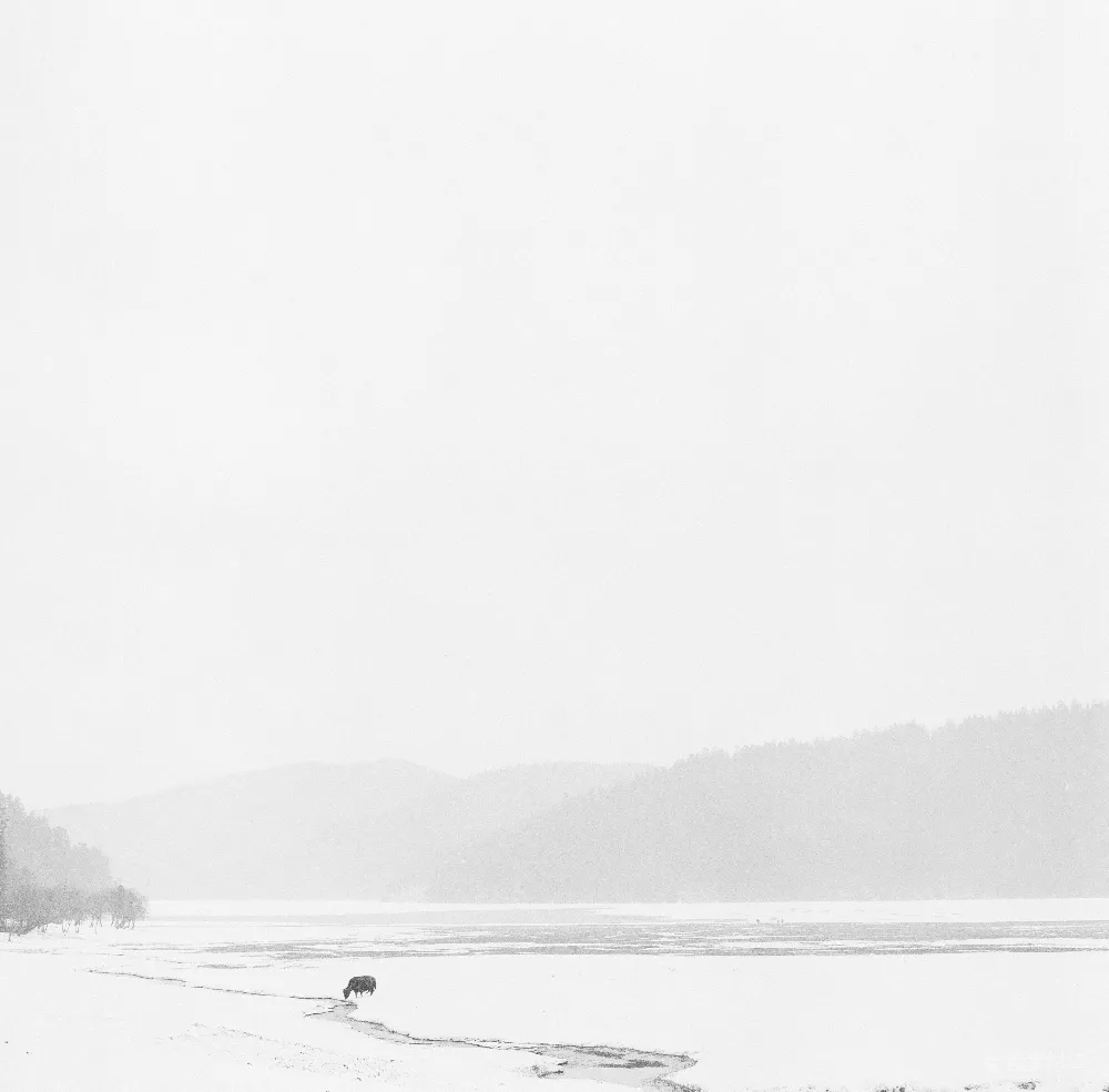 高清摄影  积雪覆盖的景观，山峦环绕着一个结冰的湖泊。