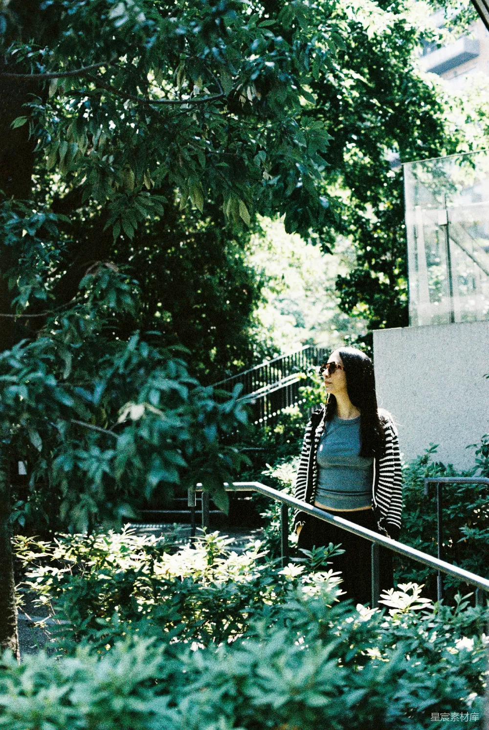 高清摄影  一个女人抬头看着一个明亮的绿色景象。
