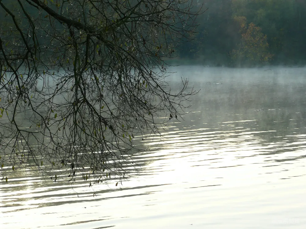 高清摄影  雾气笼罩着宁静、清澈的湖泊。