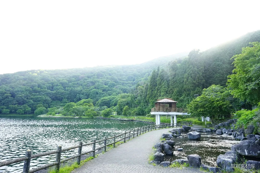 高清摄影  沿湖小径，两旁树木成荫，小楼点缀其间。