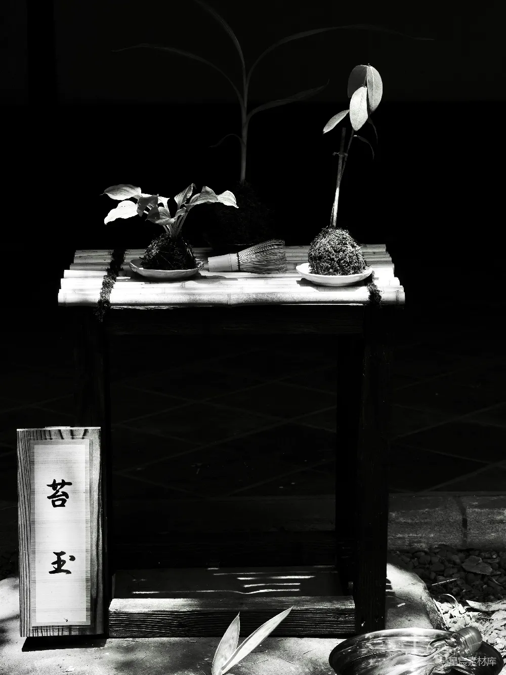 高清摄影  两棵盆景树放在木制桌子上