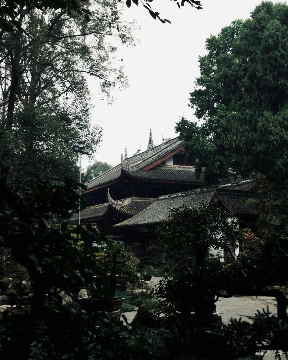 高清摄影 旅行 一座大型建筑前有许多树木。