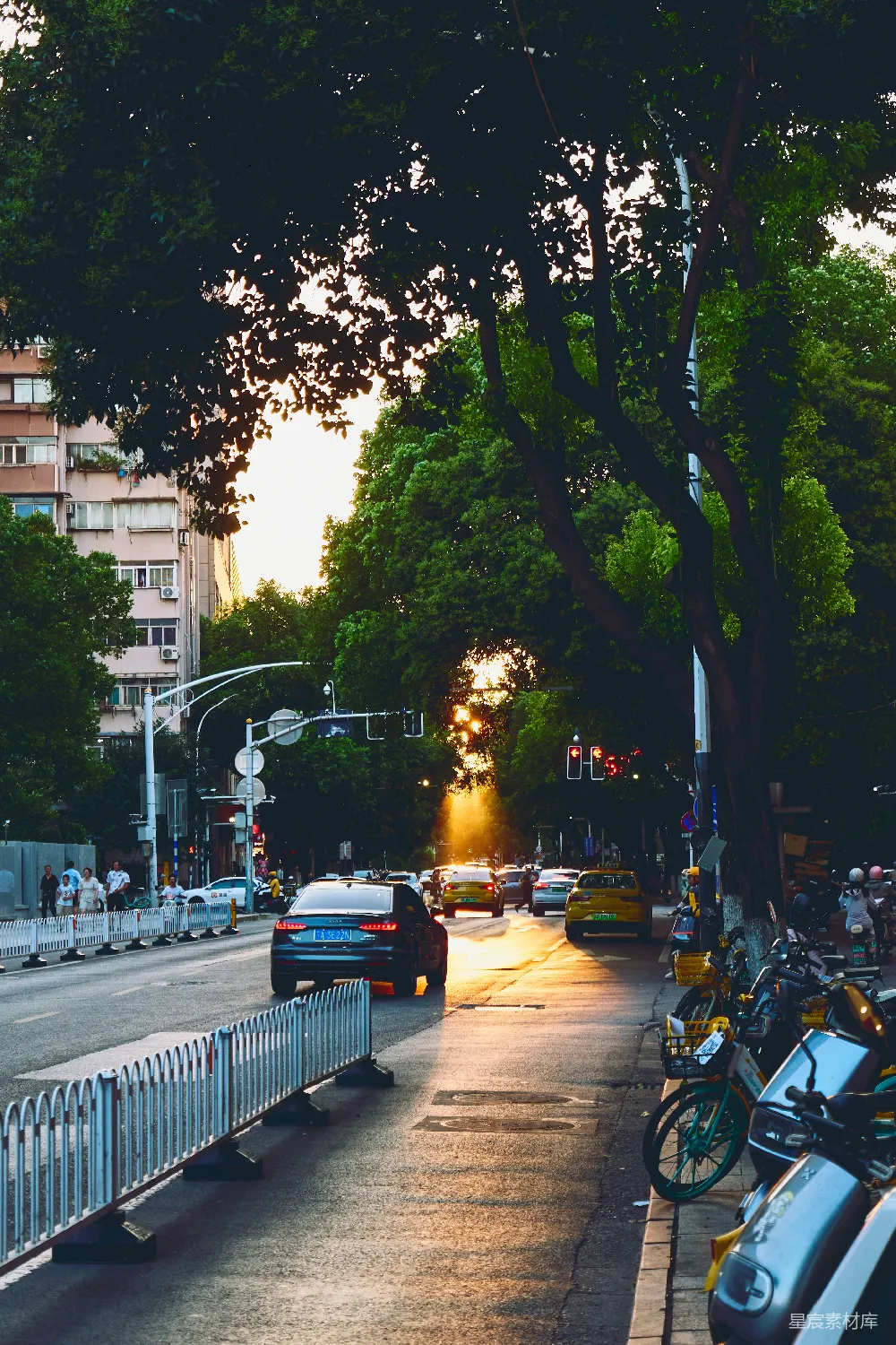 高清摄影  阳光洒在城市街道上，车辆穿梭其间。
