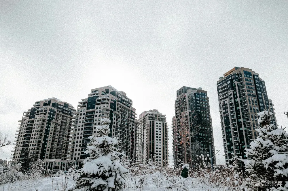 高清摄影  雪景，其中高楼大厦和树木高耸入云。