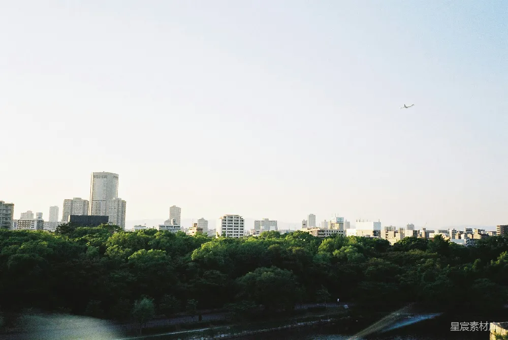高清摄影  白天的城市建筑和绿树