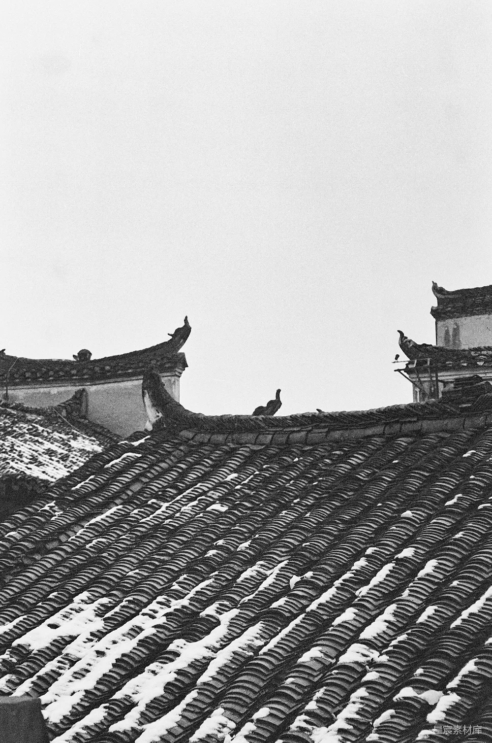 高清摄影  建筑物上的屋顶覆盖着雪。