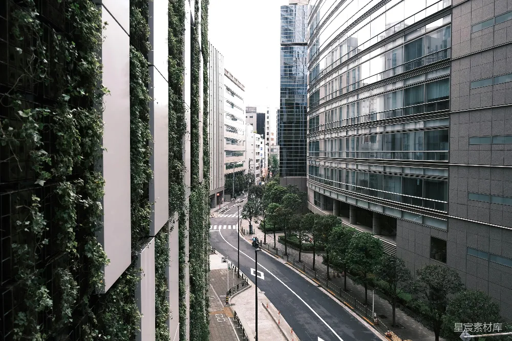 高清摄影  道路两旁是高楼和绿色植物。