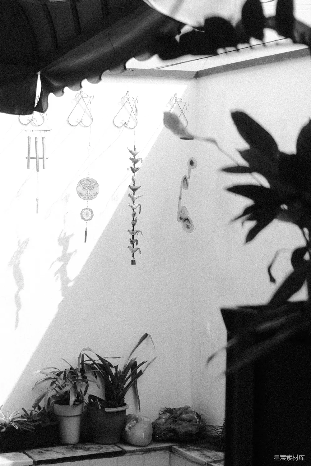 高清摄影  阳光明媚的角落里的植物、阴影和装饰品。