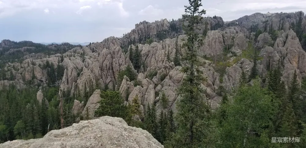 高清摄影  一片岩石山丘，山丘上长出一棵树。