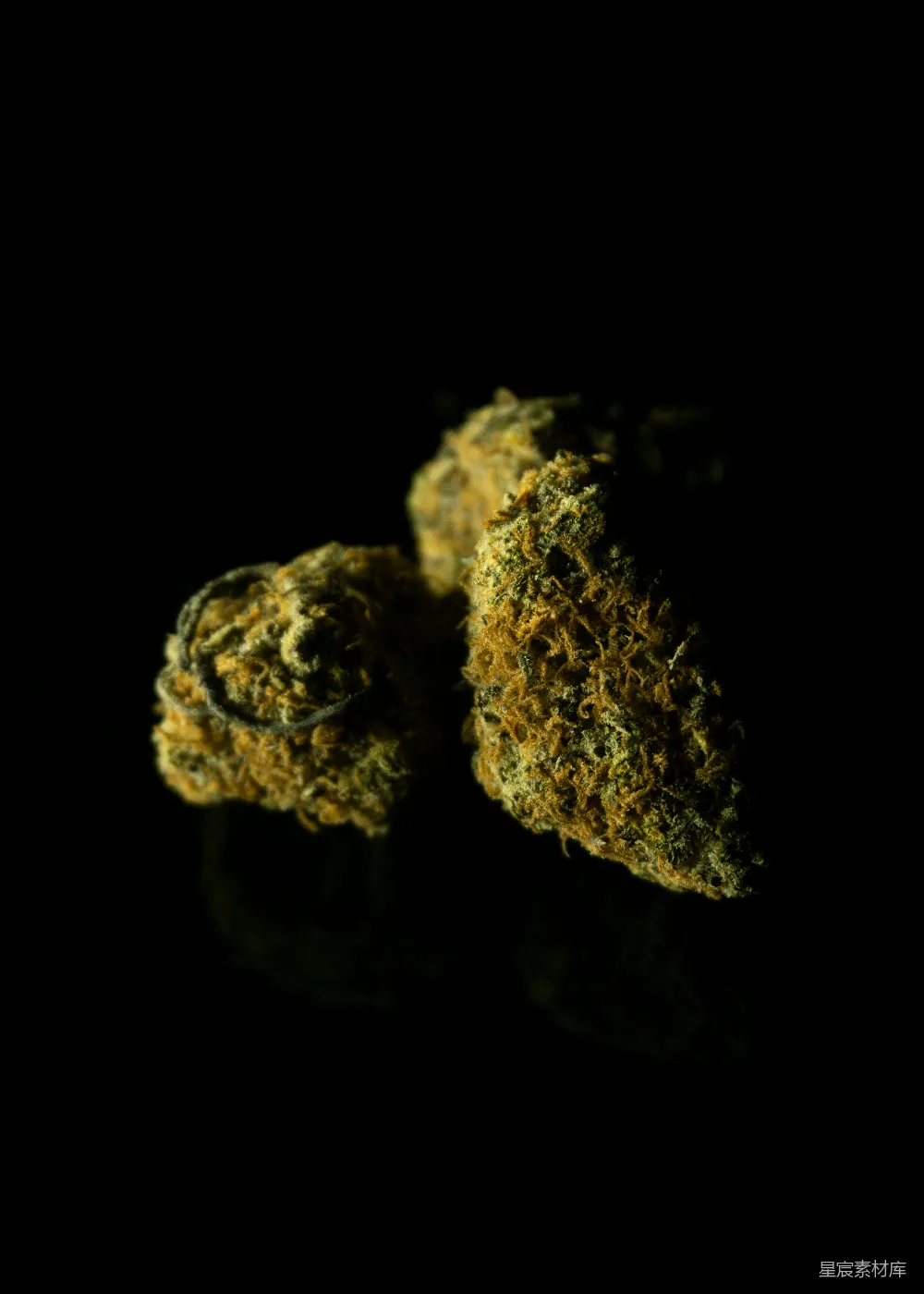 高清摄影  一张黄色和绿色岩石的特写照片