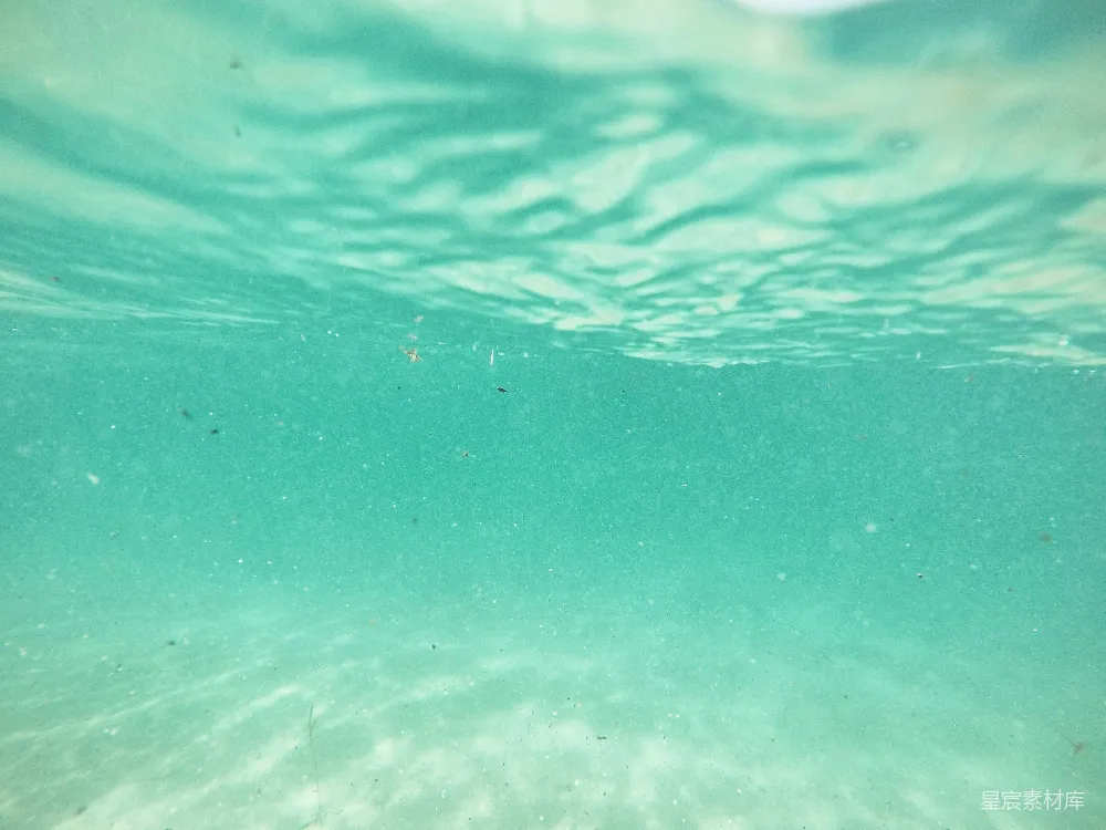 高清摄影  水下