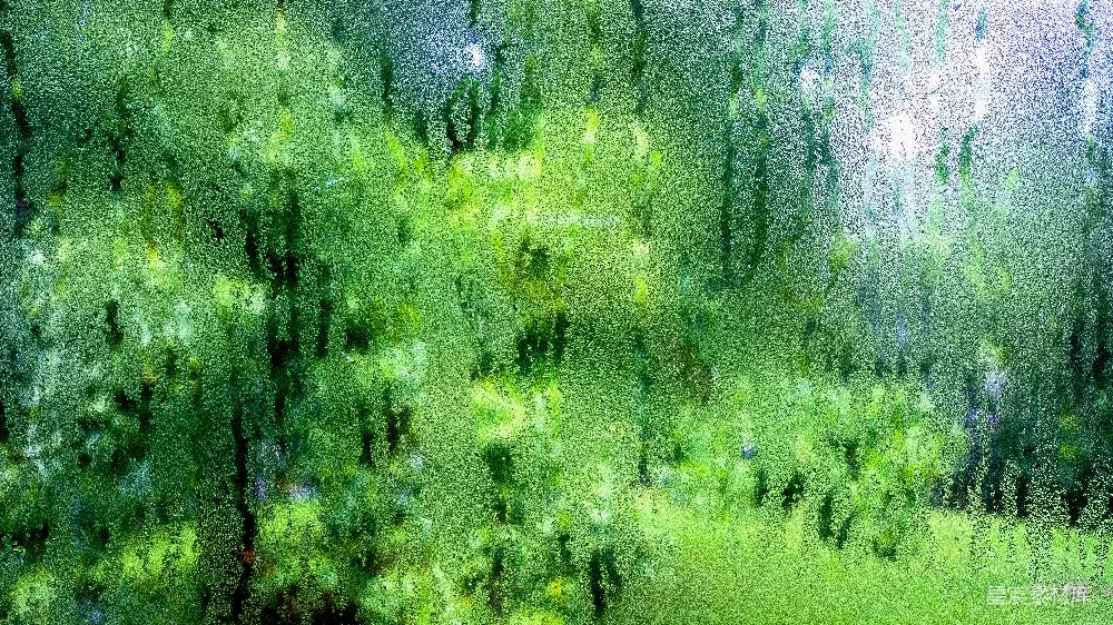 高清摄影  绿色和白色抽象画