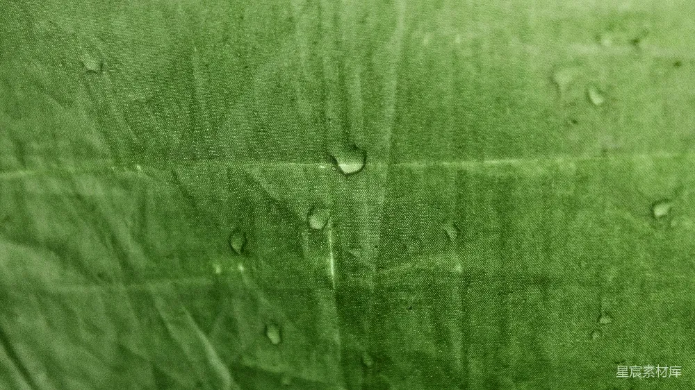 高清摄影  一张上面有水滴的绿色布料