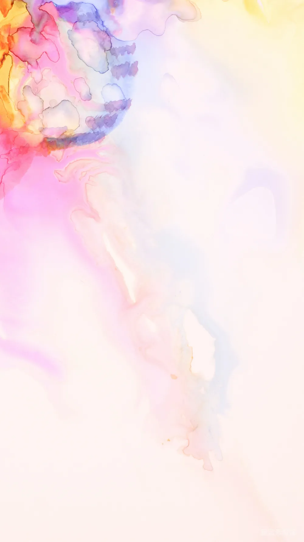 高清摄影  一幅白色背景上的抽象花卉画。