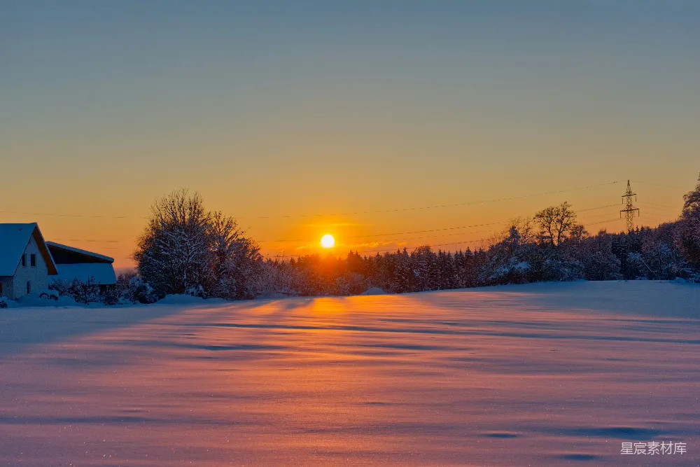 高清摄影  积雪覆盖的田野上，夕阳下的树木