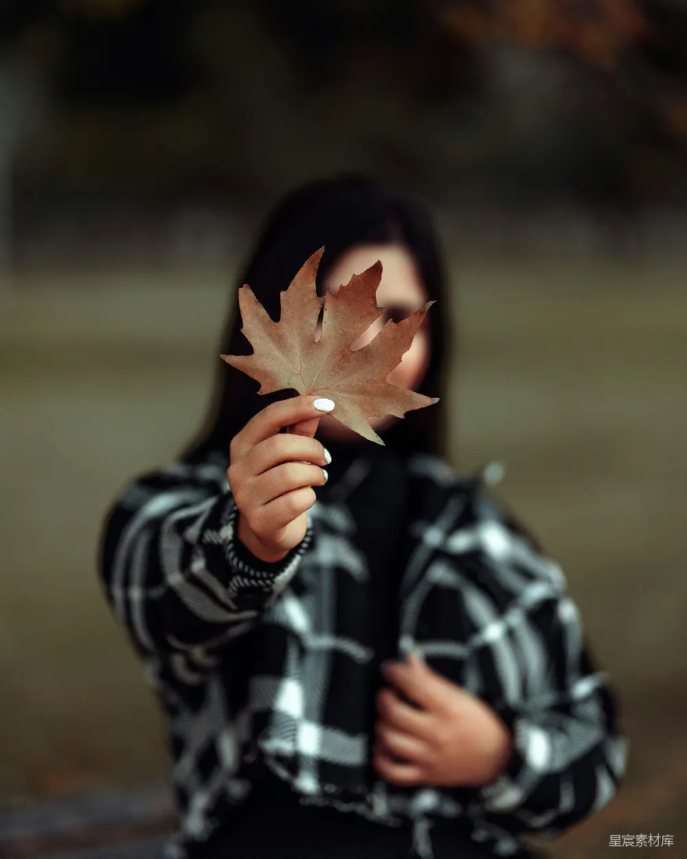 高清摄影  一个年轻女孩手里拿着一片叶子。