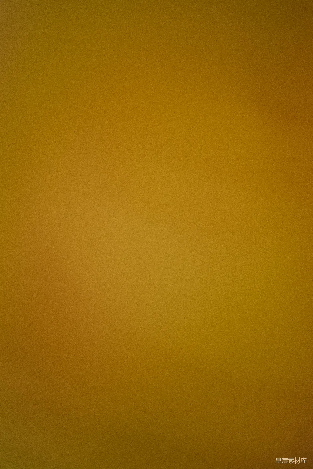 高清摄影  模糊的背景呈现出温暖的橙色和黄色调。