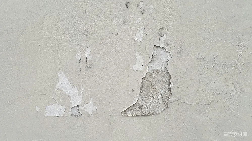 高清摄影  一只狗的爪印在沙滩上
