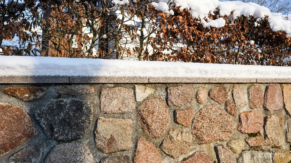 高清摄影  石墙后面有积雪覆盖的灌木丛。