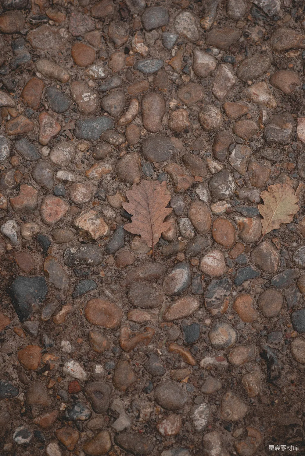 高清摄影  一些岩石的特写。