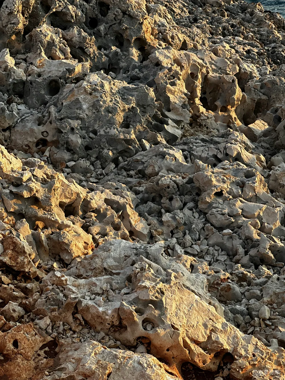 高清摄影 自然 旅行 一只鸟停在靠近海洋的岩石上。