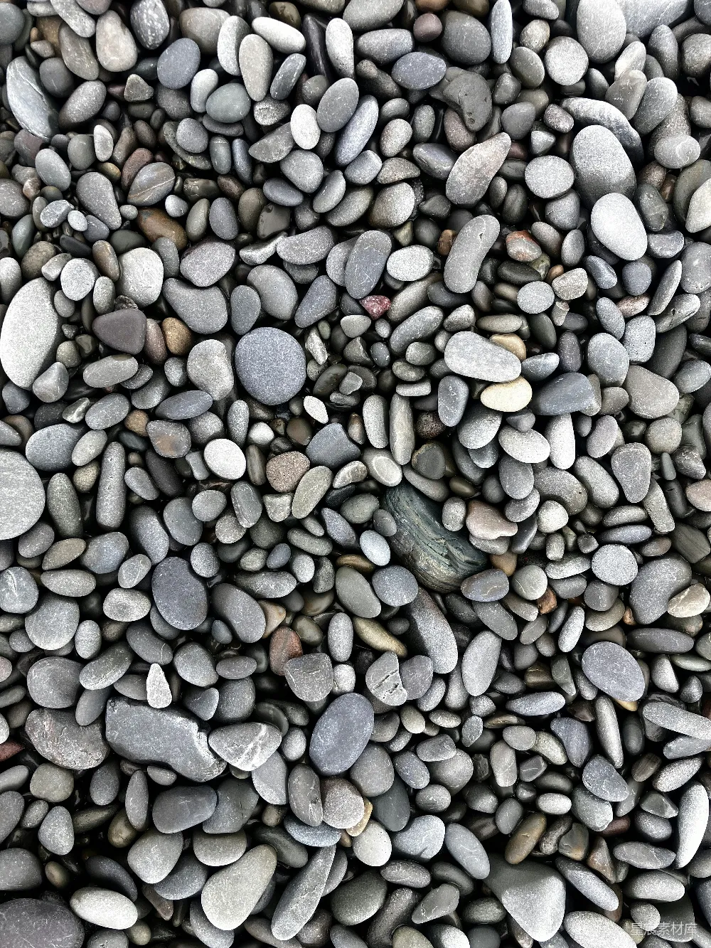 高清摄影  画面中充满了各种光滑的灰色和白色鹅卵石。