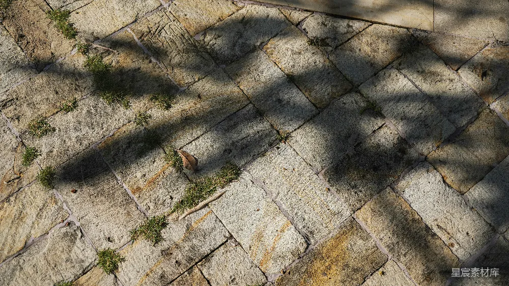 高清摄影  落叶在石径上投下的阴影