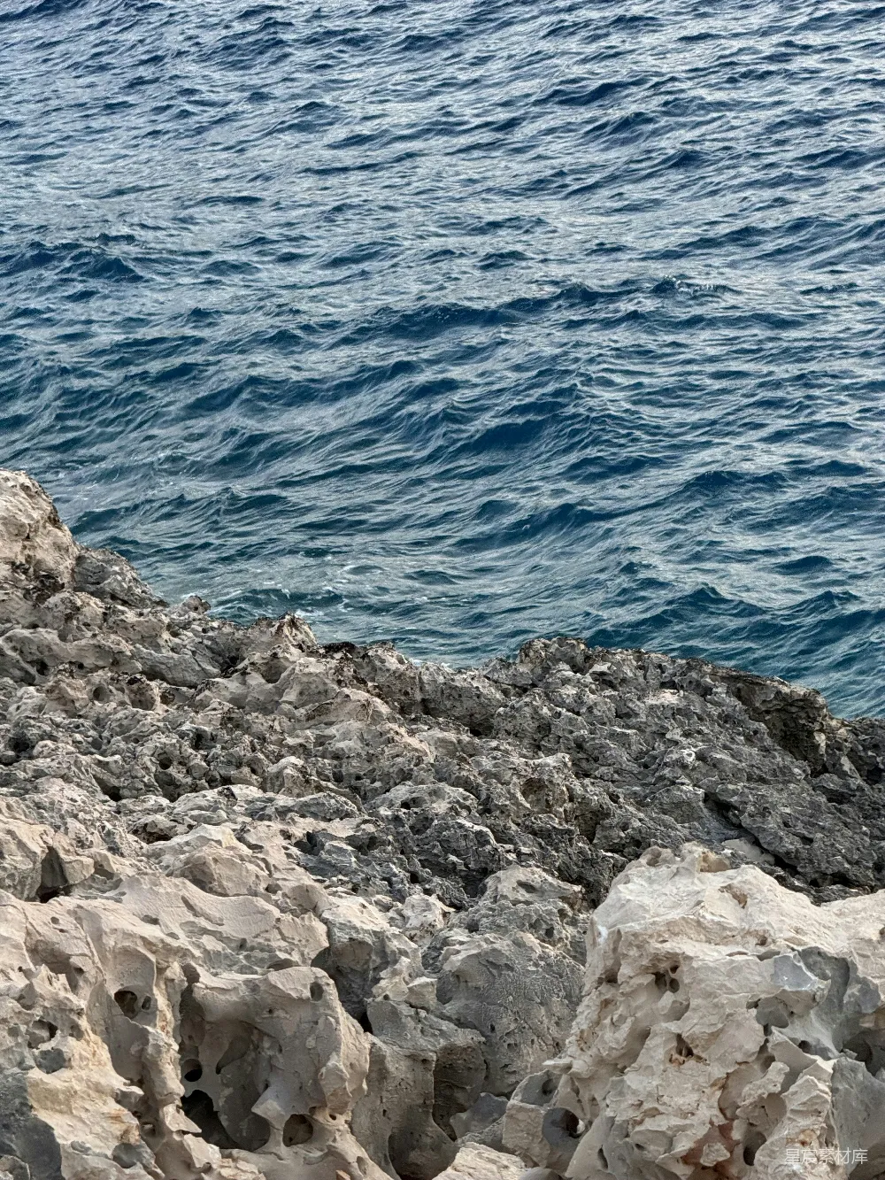 高清摄影 旅行 自然 壁纸 一只鸟栖息在水边的岩石上